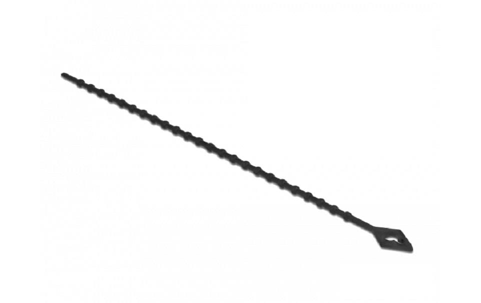 Delock Serre-câble Noir 200 mm x 2.4 mm, 100 pièces