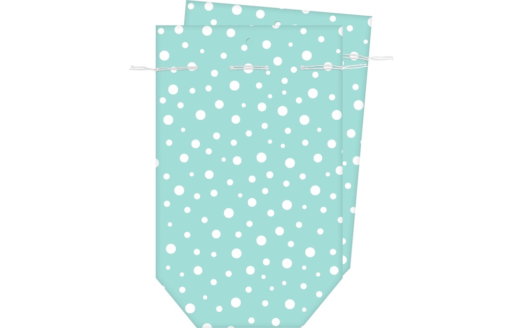 Braun + Company Sac cadeau 2 pièces, 16 x 26 cm, Bleu