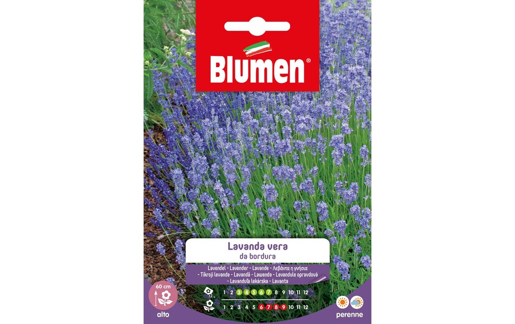 Blumen Semence Fleurs de lavande