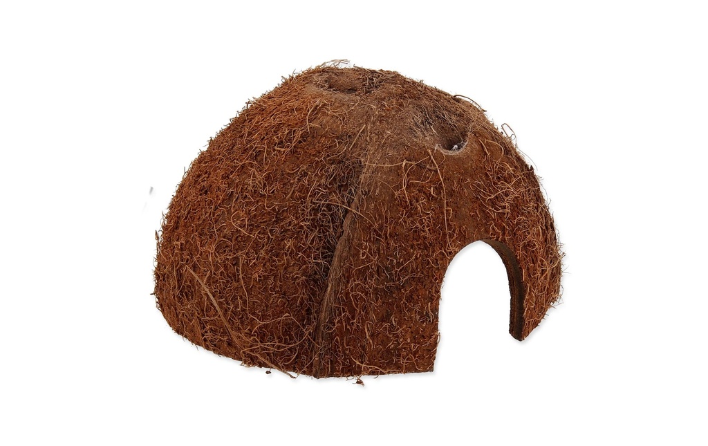 Repti Planet Coco Coupe M