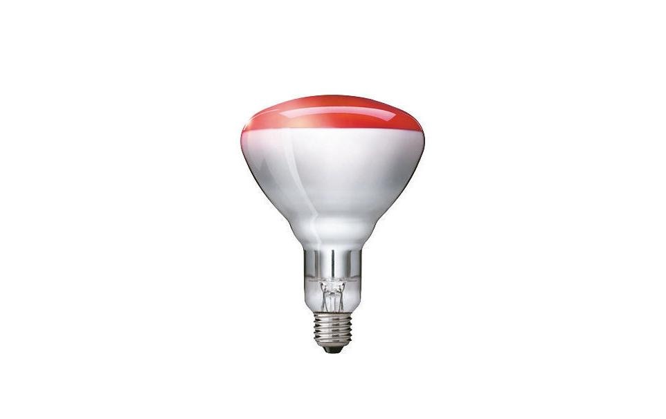 Philips Lampe BR125 250 W E27 Infrarouge
