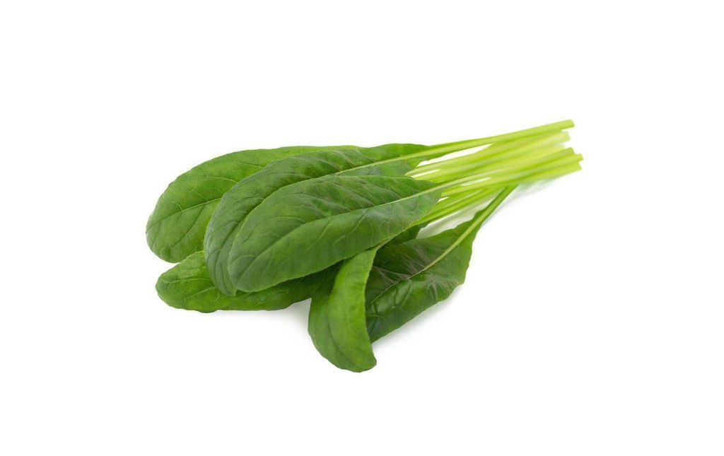 Click and Grow Semence mibuna