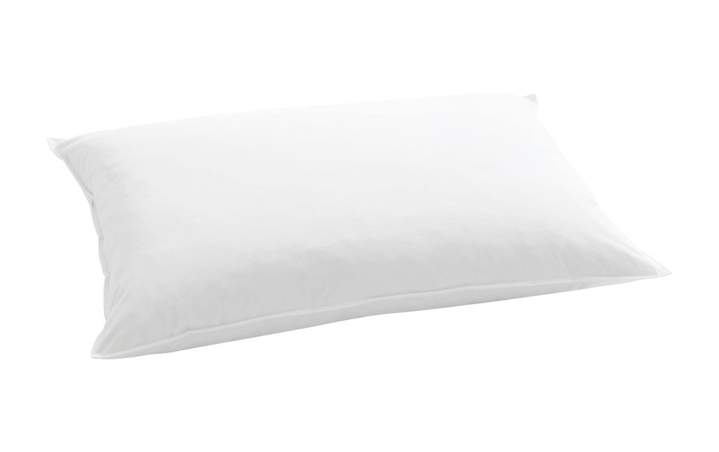 Billerbeck Oreiller classique Standard 250 Duvet, 65 x 100 cm