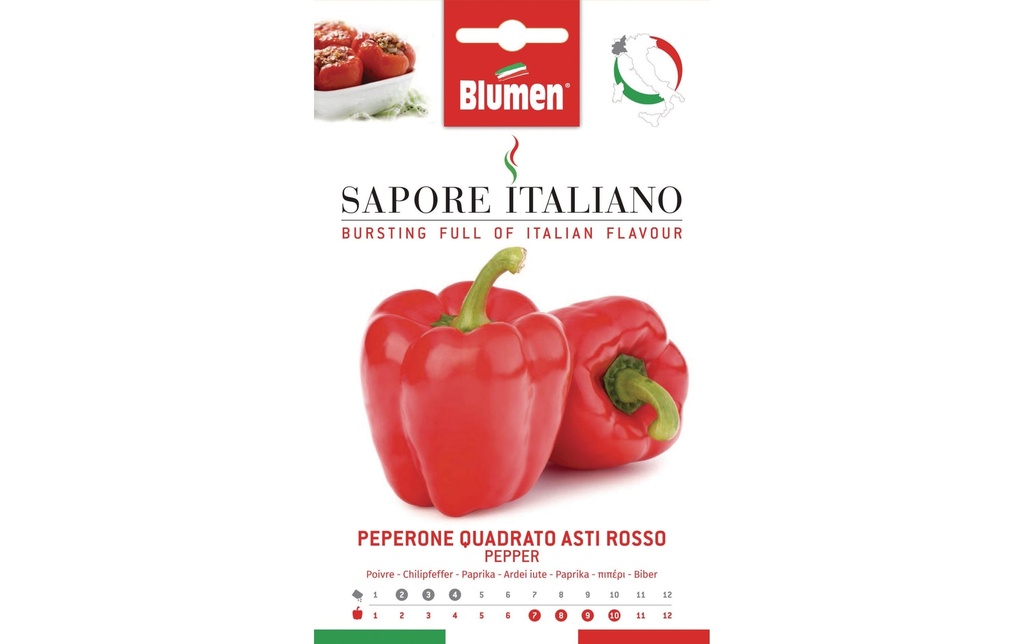 Blumen Semence Paprika Quadrato Asti Rosso