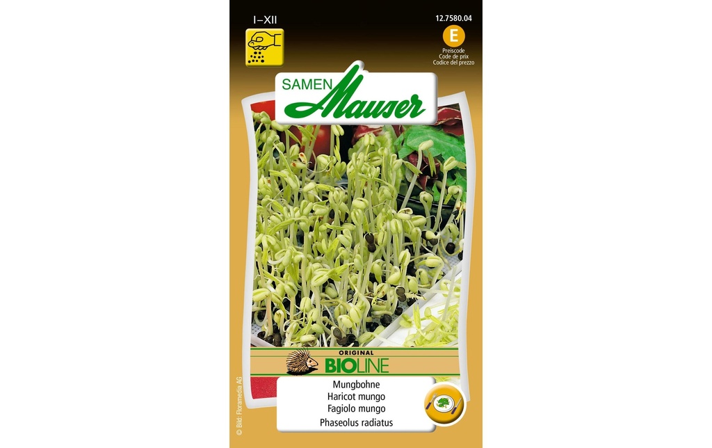 Samen Mauser Semence Bioline Haricots mungo de semence de germe