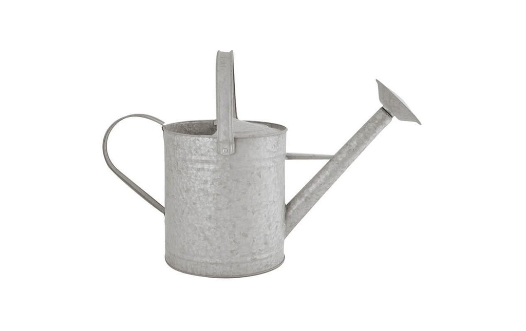Esschert Design Arrosoir 8.75 l Zinc