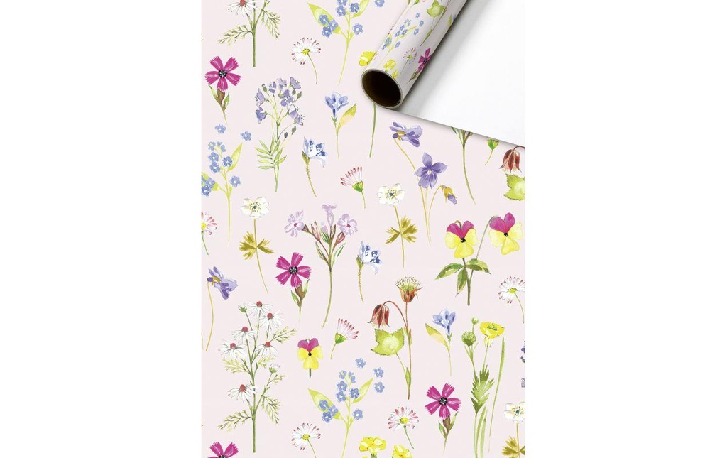 STEWO Papier cadeau CHANTAL 2mx70cm (2 pces)
