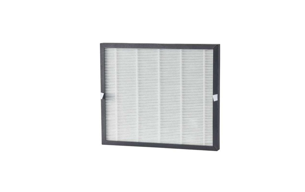 Ecofort ecoQ DryAir 2 en 1 filtre combiné HEPA & charbon actif, 1 Pièce/s