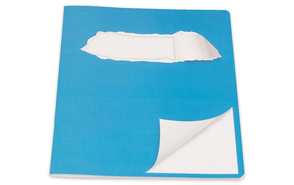ELCO Cahier d'école E5, Vierge, Bleu/Blanc