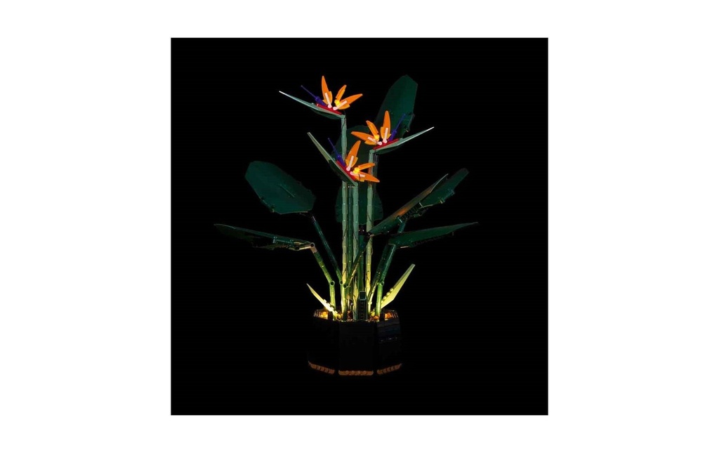 Light My Bricks Lumières-LED pour LEGO® L’oiseau de paradis 10289