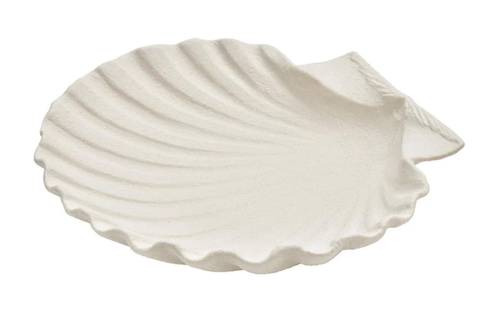 G. Wurm Objet à exposer Coquillage 24 x 23 cm, Blanc