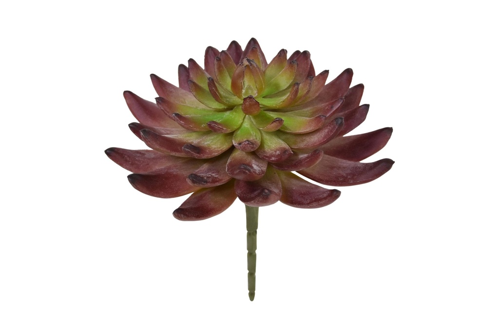 Botanic-Haus Plante artificielle Echeveria cactus 14 cm