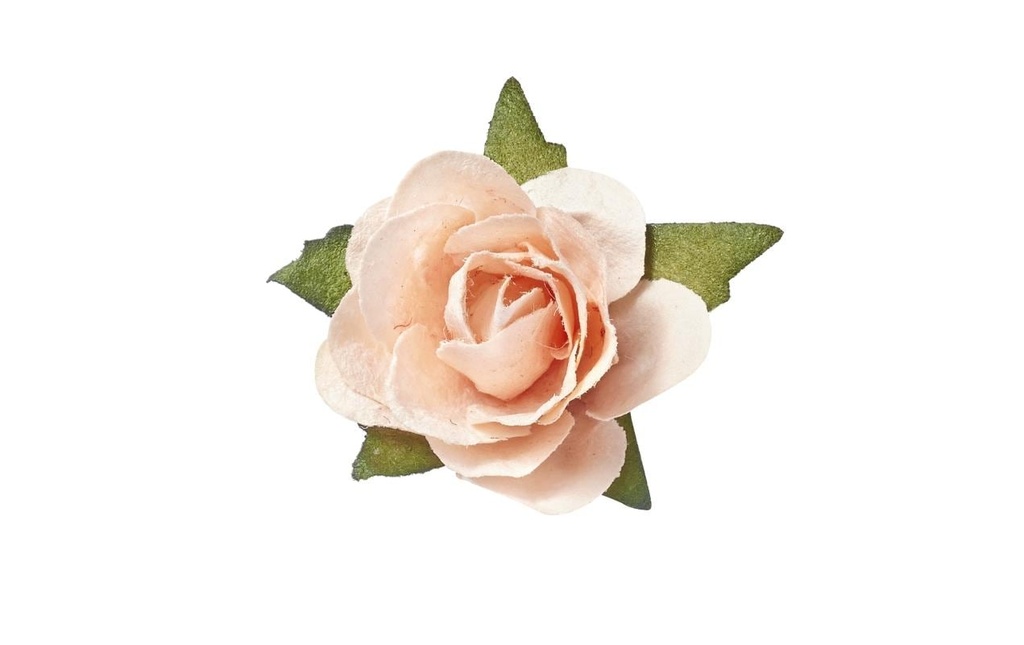 HobbyFun Décoration à éparpiller Roses 20 pièces, abricot