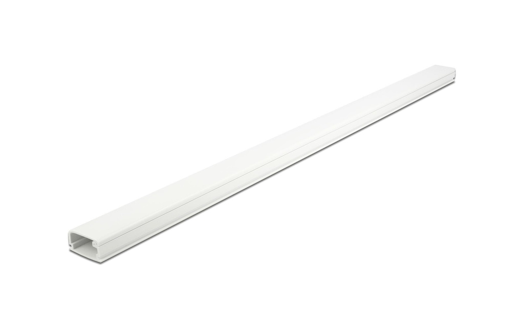 Delock Goulotte autocollant 1 m x 26 mm Blanc