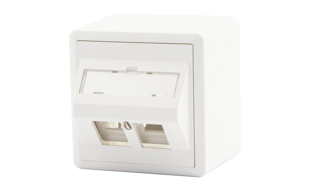 Dätwyler IT Infra Prise réseau AP54 2x Keystone 1 pièce