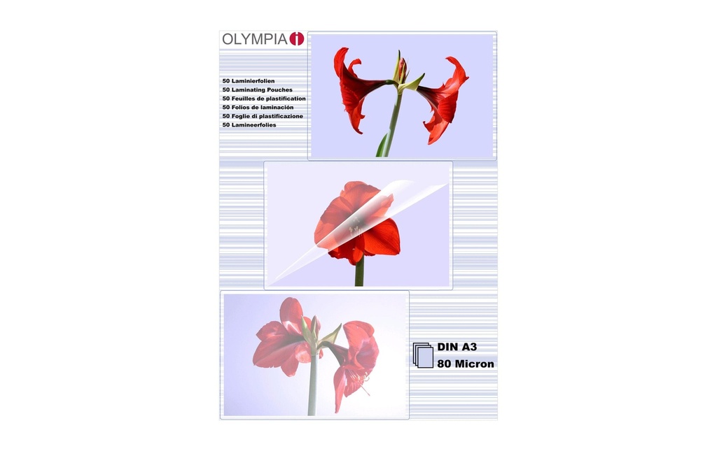 Olympia Film laminé Résistant à la déchirure, avec protection contre la flexion
