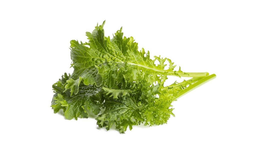 Click and Grow Semence Moutarde au wasabi Paquet de 3