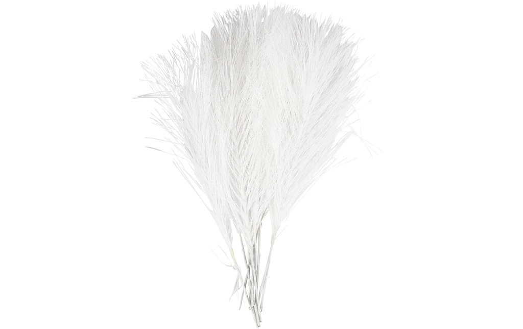 Creativ Company Plumes 10 morceaux, Blanc