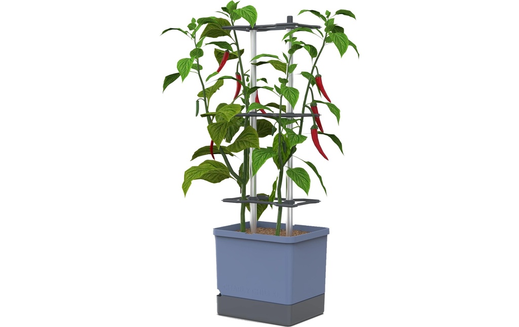 Gusta Garden Godets de culture Charly Chili XL Bleu