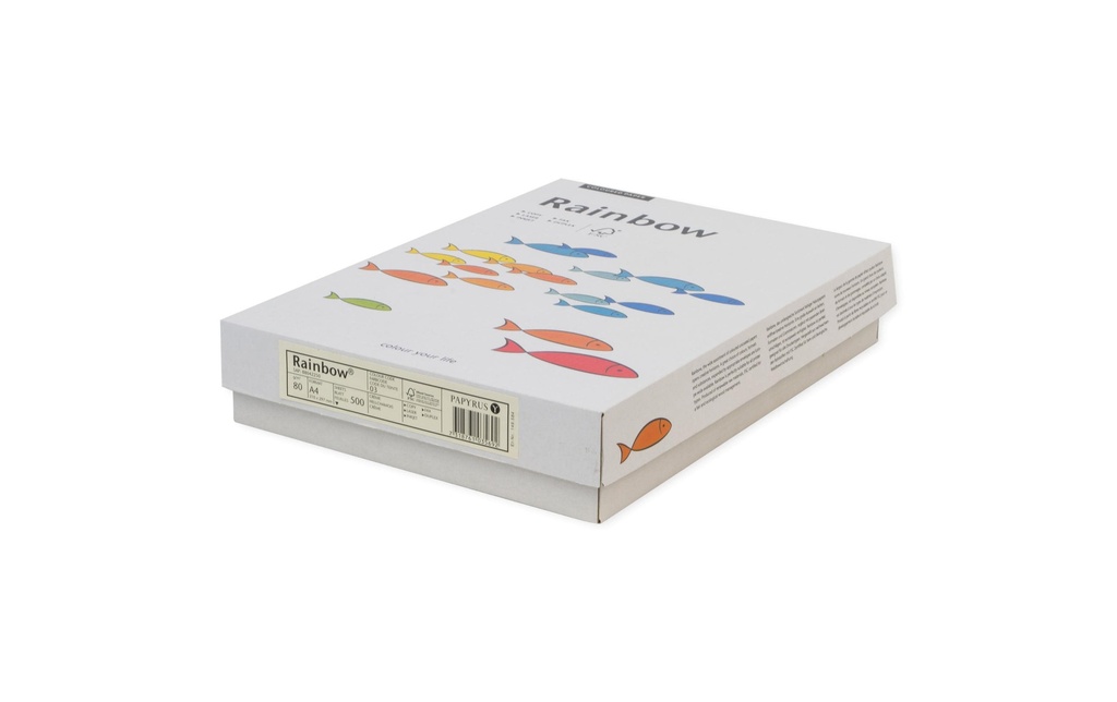 Rainbow Papier pour photocopie A4, Vert néon, 80 g/m²,100 Blatt