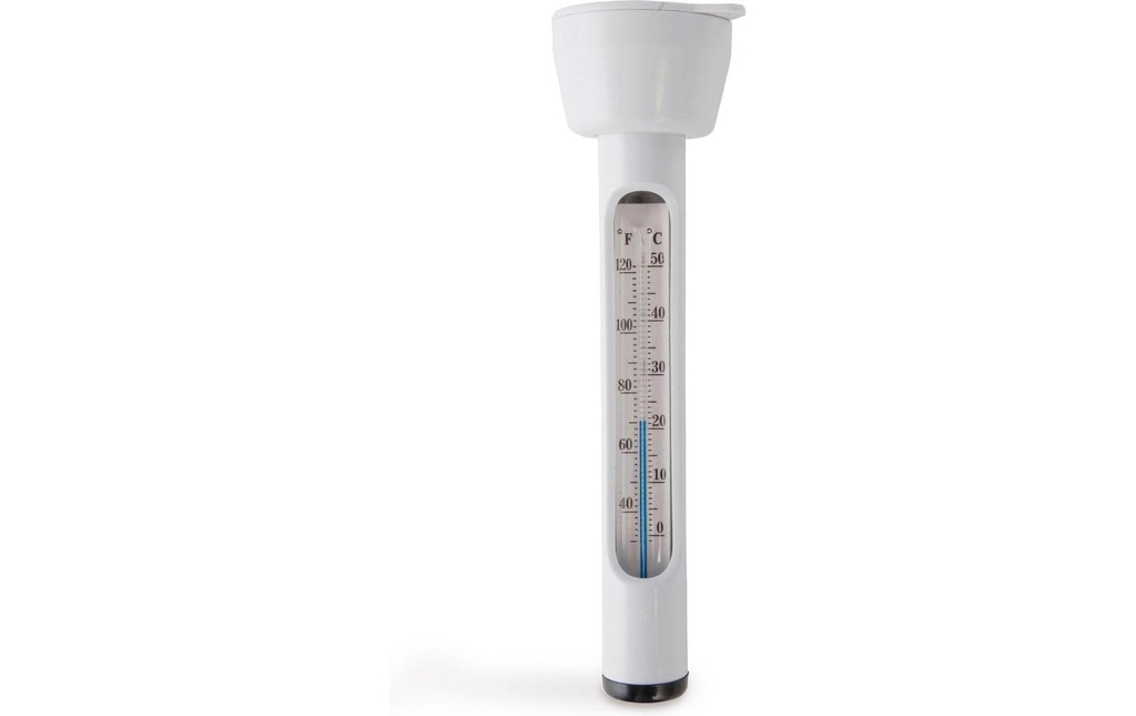 Intex Thermomètre de piscine Blanc