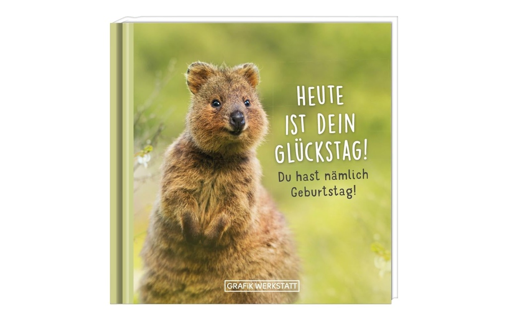 Grafik Werkstatt Mini-livre C'est ton jour de chance