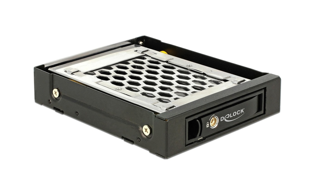 Delock Cadre interchangeable 3,5 Mobile Rack pour 1x 2.5 po