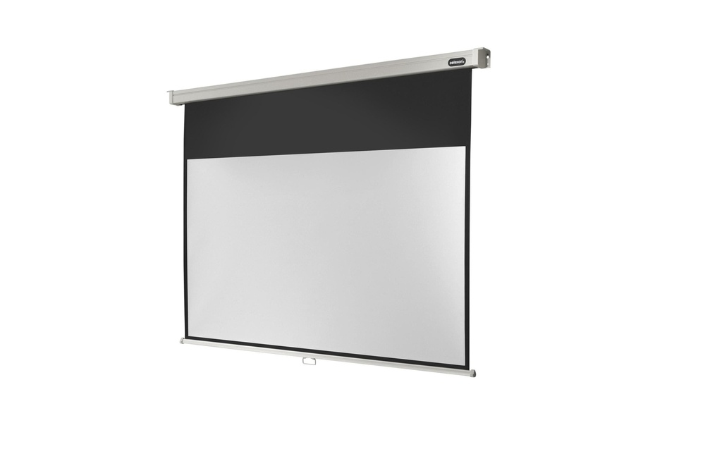 Celexon Écran mural enroulable Pro 220x124cm 16:9