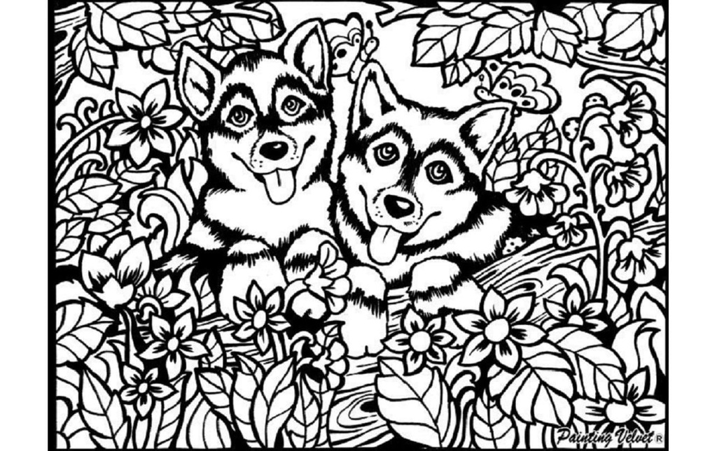 Tataruga Kits de peinture Huskies en velours A4