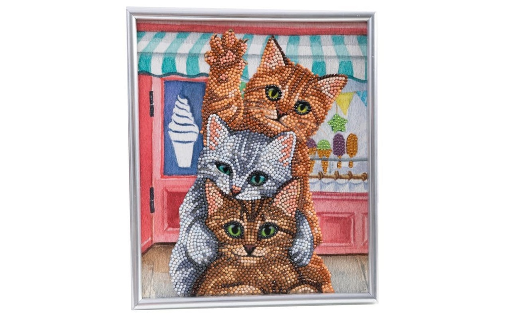 CRAFT Buddy Kits de bricolage Crystal Art chaton 21 x 25 cm