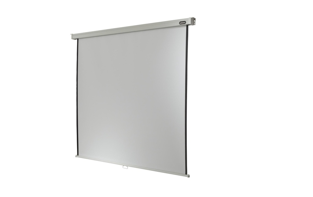 Celexon Écran mural enroulable Pro 160x160cm 1:1