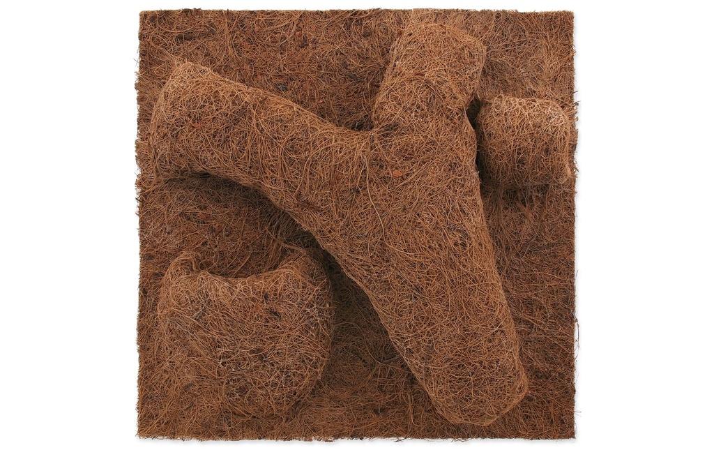 Repti Planet Coco bac à plantes 30 x 30 cm