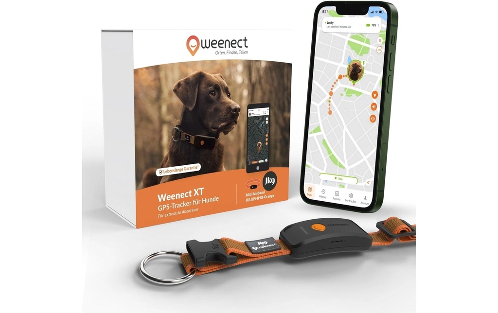 Weenect Traqueur GPS pour chiens XT avec collier orange