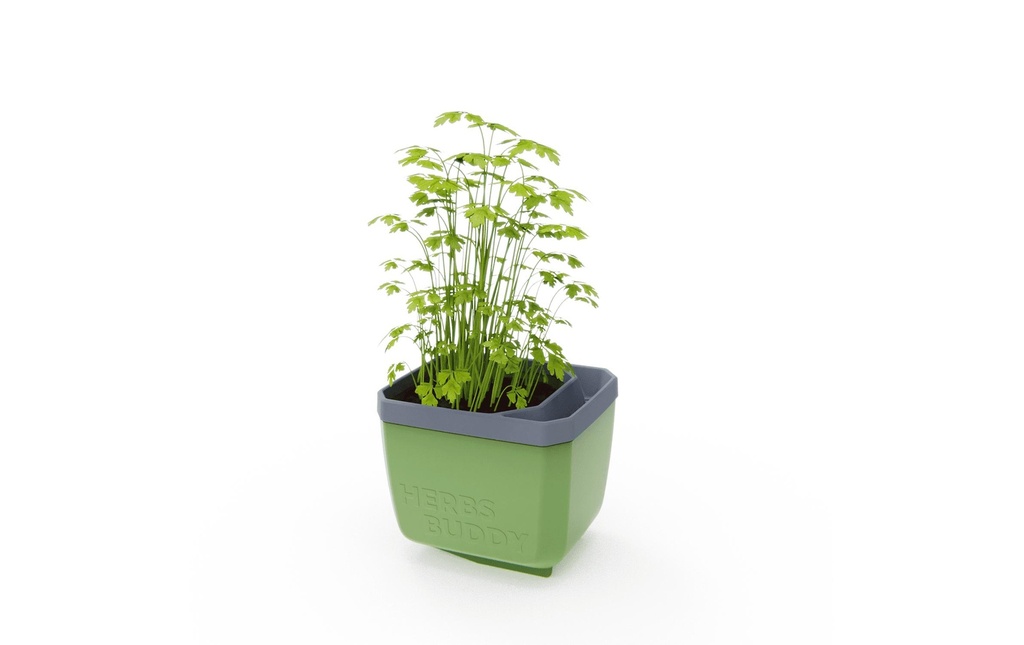 Gusta Garden HERBS BUDDY Pot d'herbes aromatiques Vert foncé