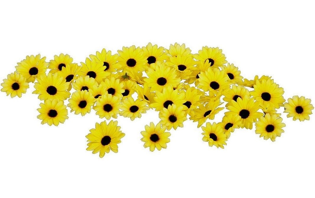 Dekomat AG Fleur artificielle Marguerites Heidi 48 pièces