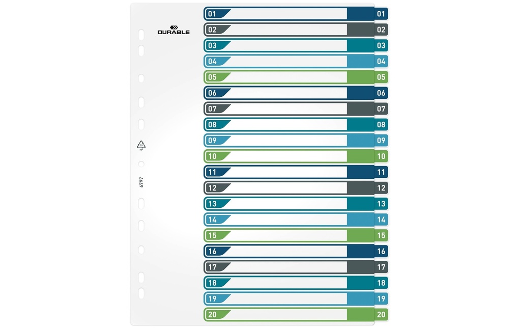 DURABLE Registre A4+, 1-20, 5 couleurs