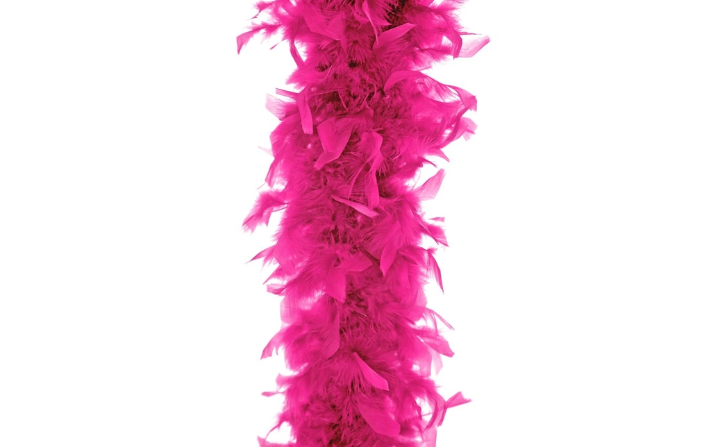 Partydeco Accessoires de fête Boa Rose