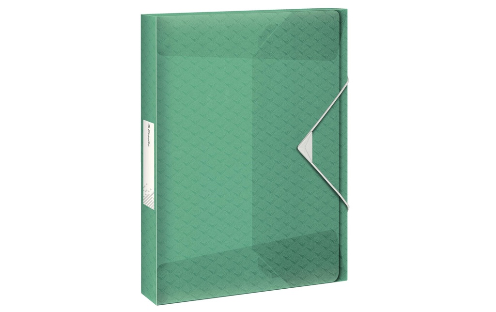 Esselte Portfolio à ruban élastique COLOUR‘ICE 40 mm Vert