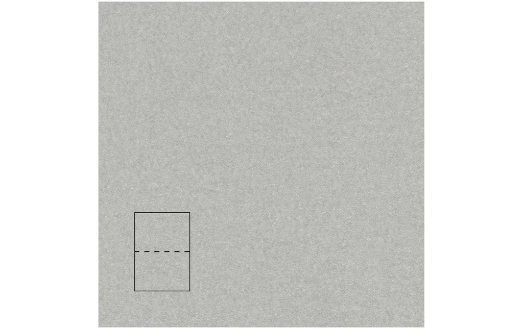 Rico Design Paper Poetry Essentials B6 Carte pliable Argent, 50 pièces