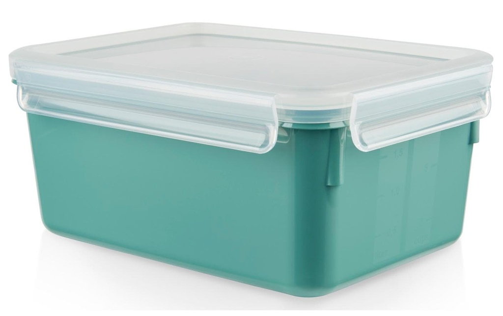 Emsa Récipients à provisions Clip & Close 2.2 l, Vert