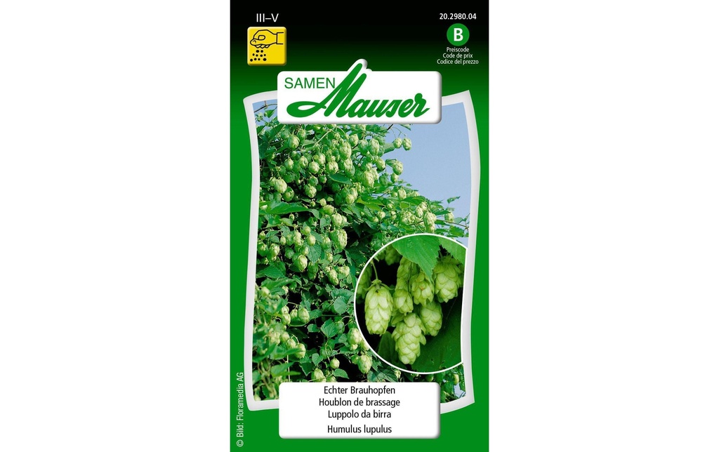 Samen Mauser Semence Brauhopfen véritable
