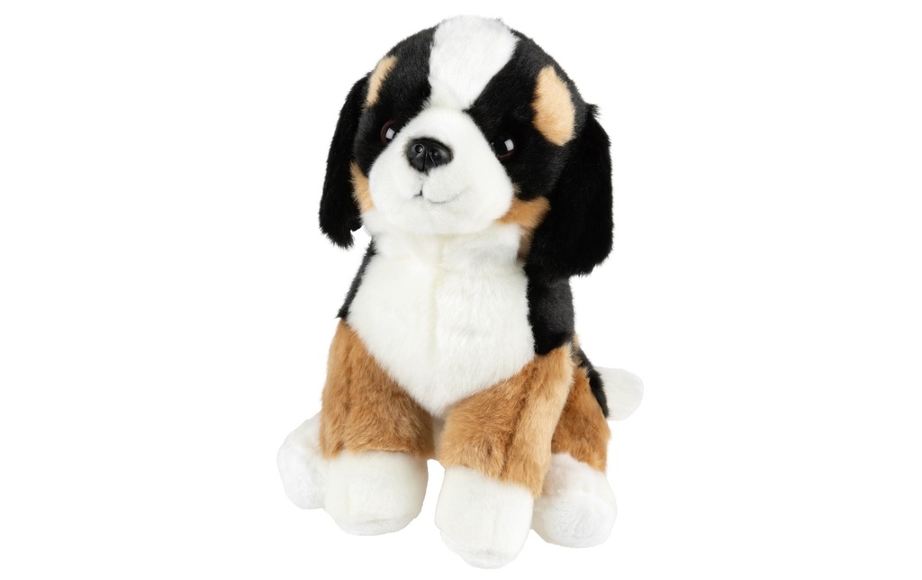 Leo Brummbär Peluche Bouvier 25 cm