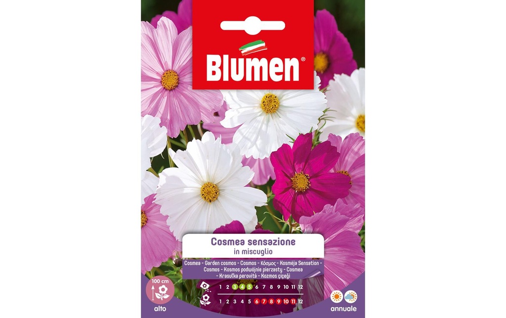Blumen Semence Cosmea Sensazione Mix