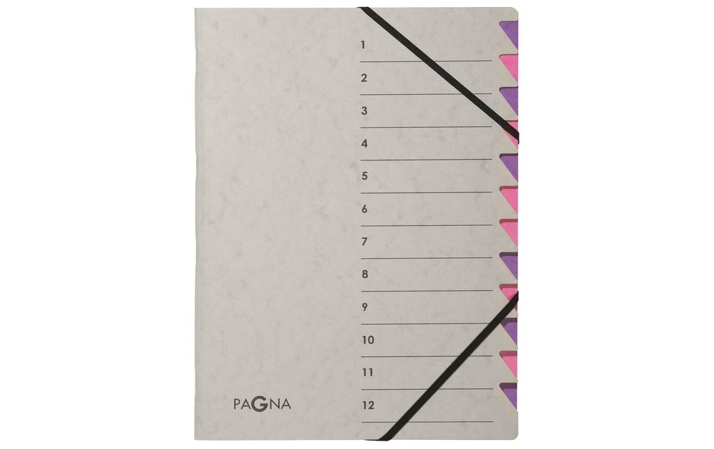 Pagna Classeur à compartiments A4 Easy Grey Gris ; violet, 12 compartiments