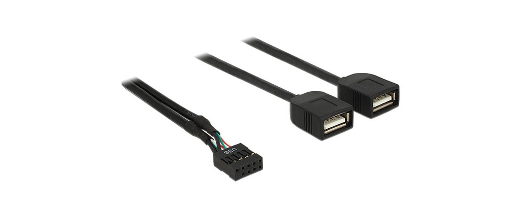 Delock Câble embase à broches USB2.0 2x USB2.0 40 cm