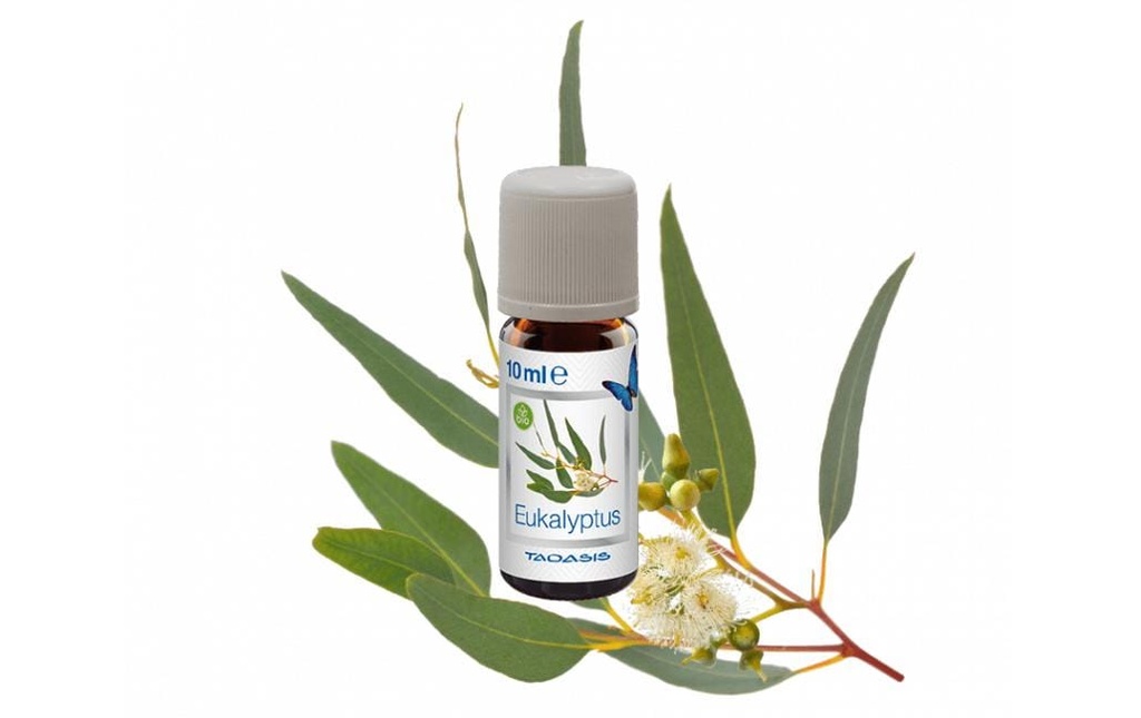 Venta Luftwäscher Huile parfumée Eucalyptus, 3 x 10 ml