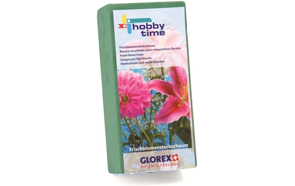 Glorex Mousse à piquer pour les fleurs fraîches 23 x 11 x 7.5 cm
