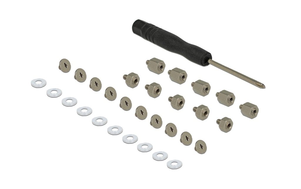 Delock Vis Kit de montage 31 pièces pour modules M.2 SSD