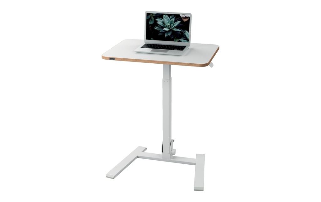 Leitz Table haute Ergo réglable en hauteur 65 cm x 46 cm