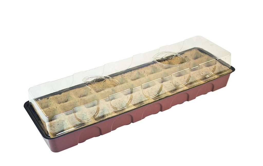 Windhager Serres pour rebord de fenêtre avec 30 pots de culture